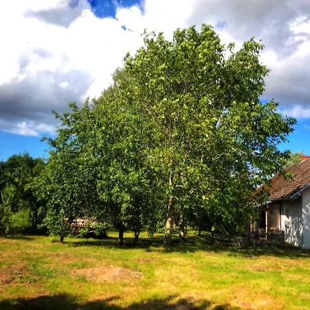 Guzstock Barn